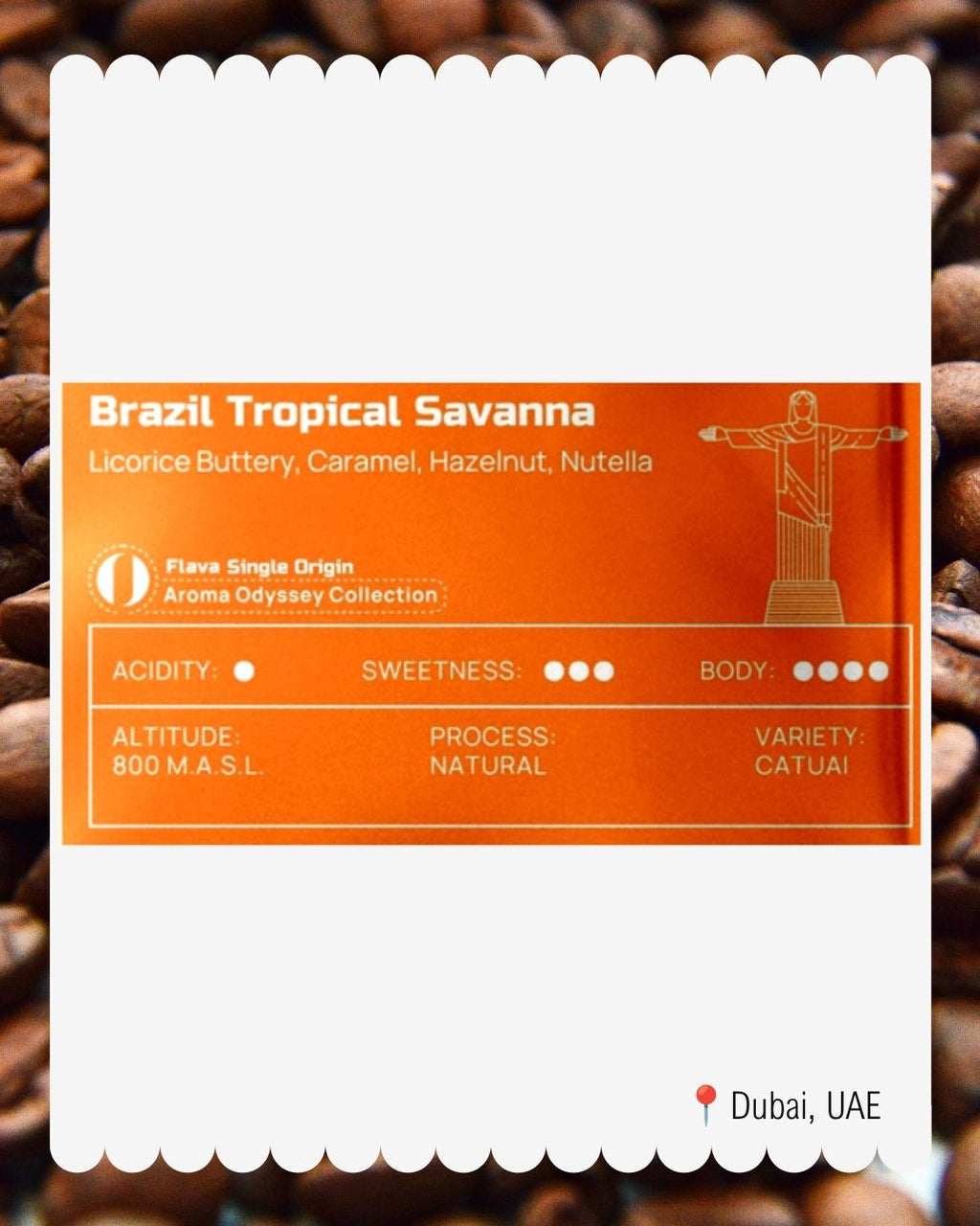 Brazil Tropical Savanna
