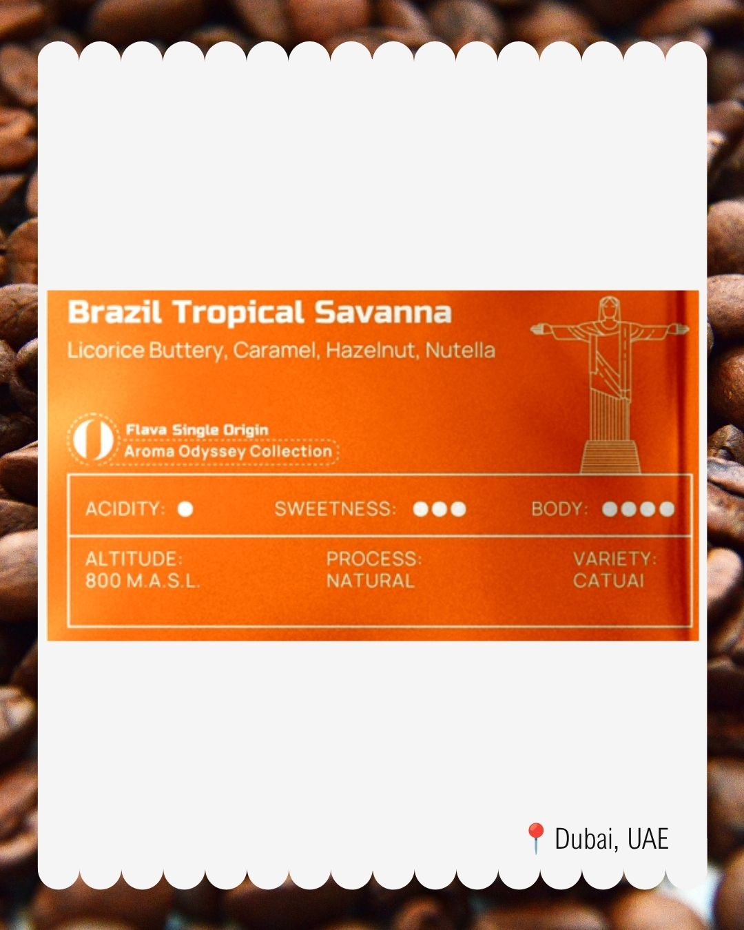 Brazil Tropical Savanna