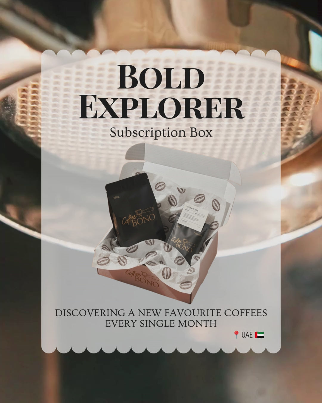Bold Explorer Subscription